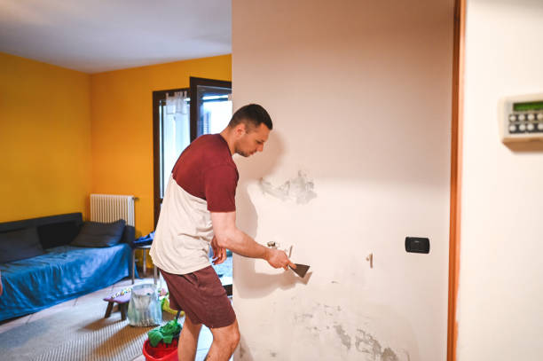Best Black Mold Remediation in Kimball, NE